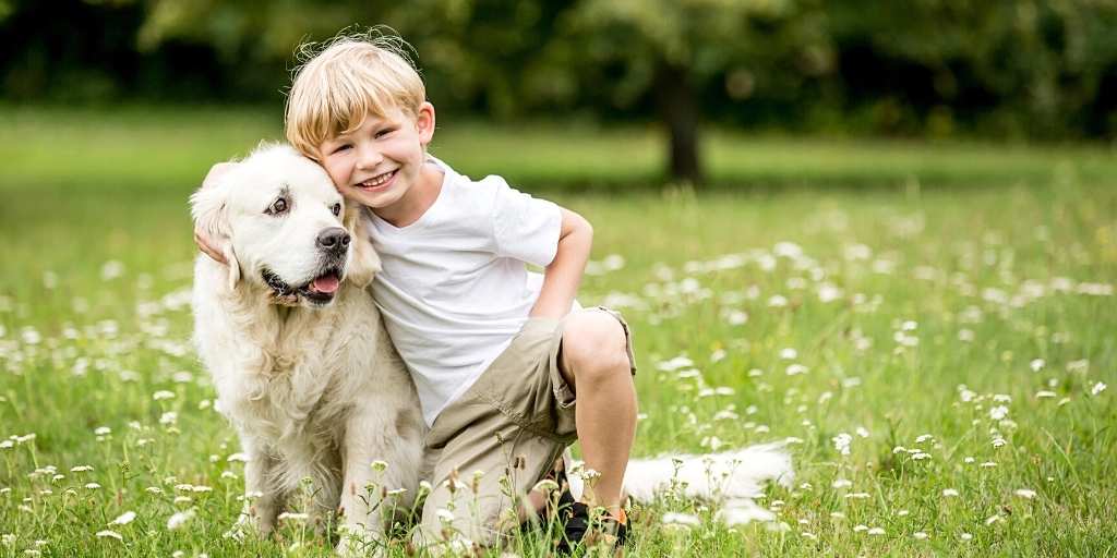 Evcil Hayvanlar ve Çocuklar Hakkında Bilinmesi Gerekenler